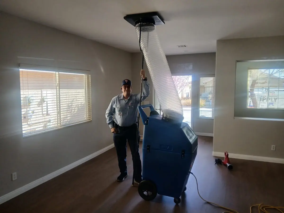 Professional Dryer Vent Cleaning work inside a Royalton home